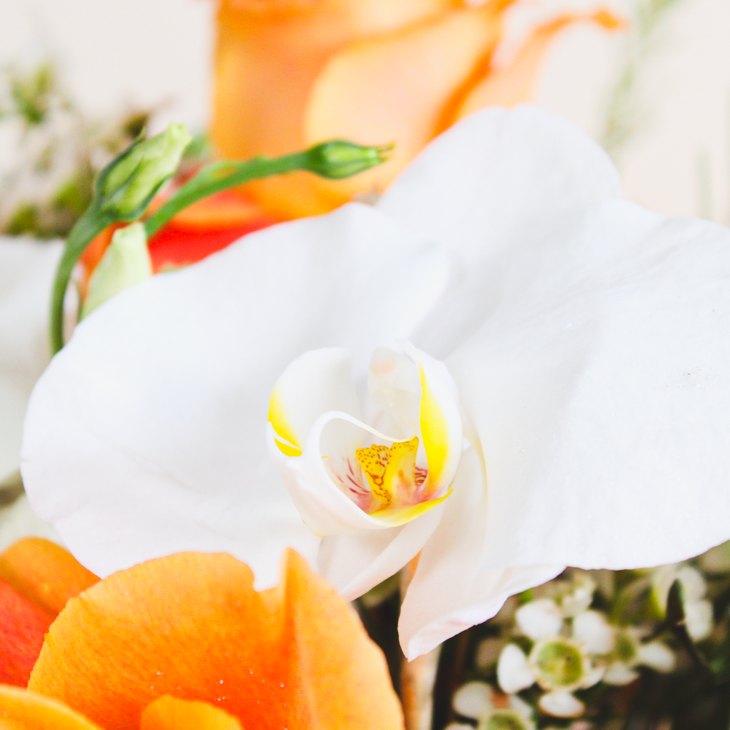 Vase of Floral Fragrance