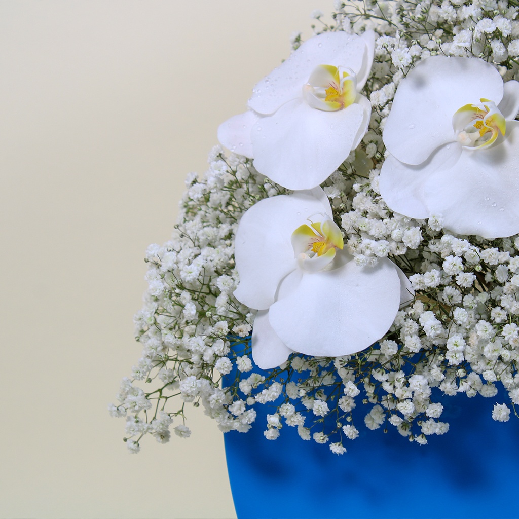 Blue gypsophilia bouquet