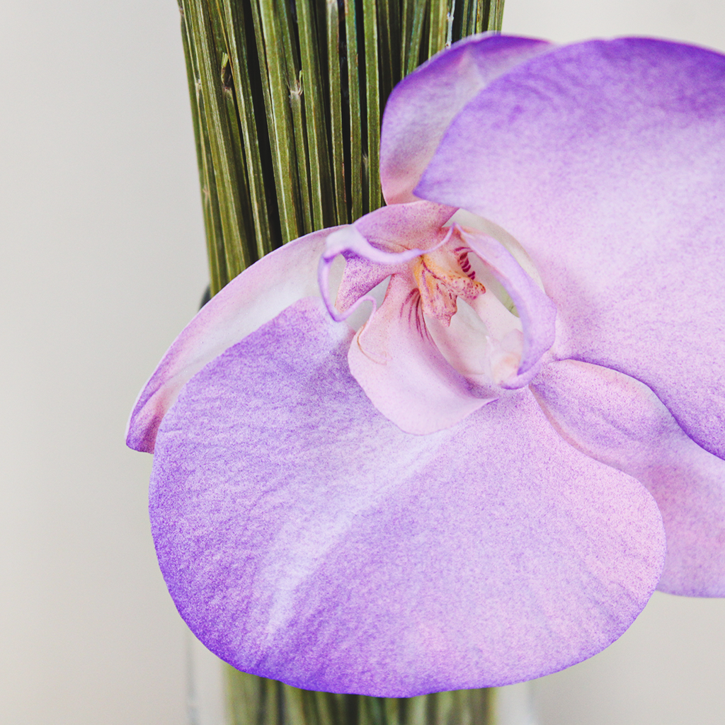 Lavender Breeze Bouquet