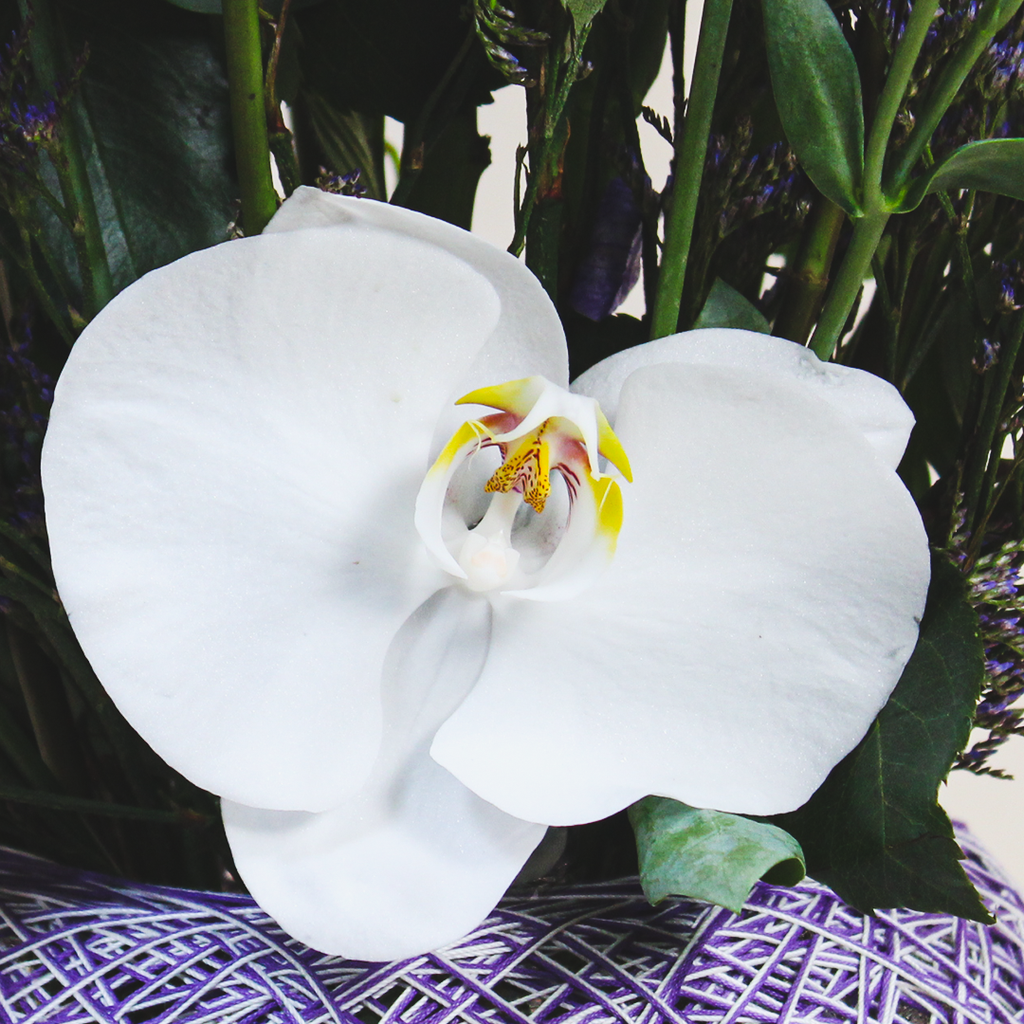 Purple Delphinium Vase