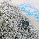 Blue gypsophilia bouquet