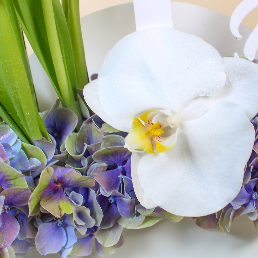 Hydrangea Bouquet | Birthday