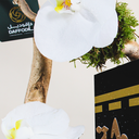 Phalaenopsis bouquet | Omra Maqbula