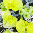 Yellow Anthurium Bouquet