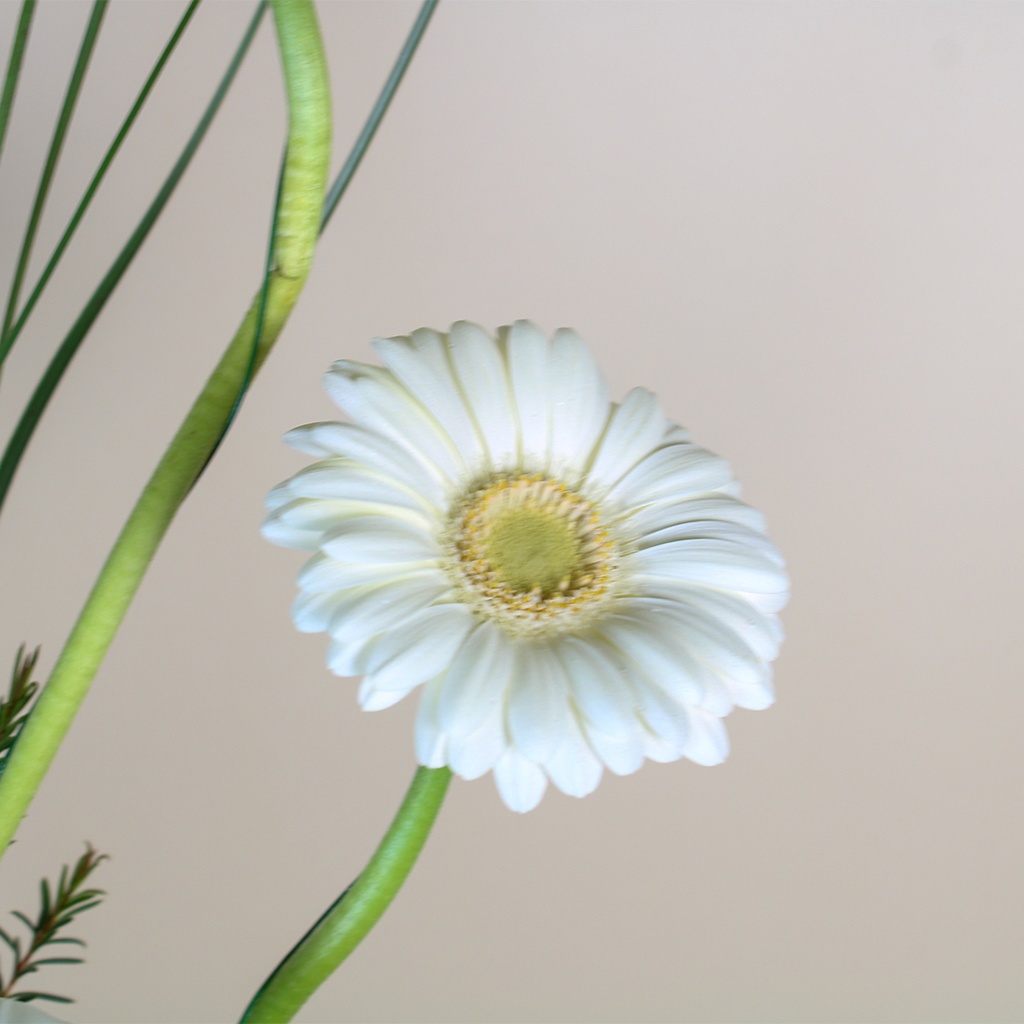 Tulip vase