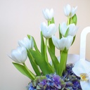 White tulip bouquet