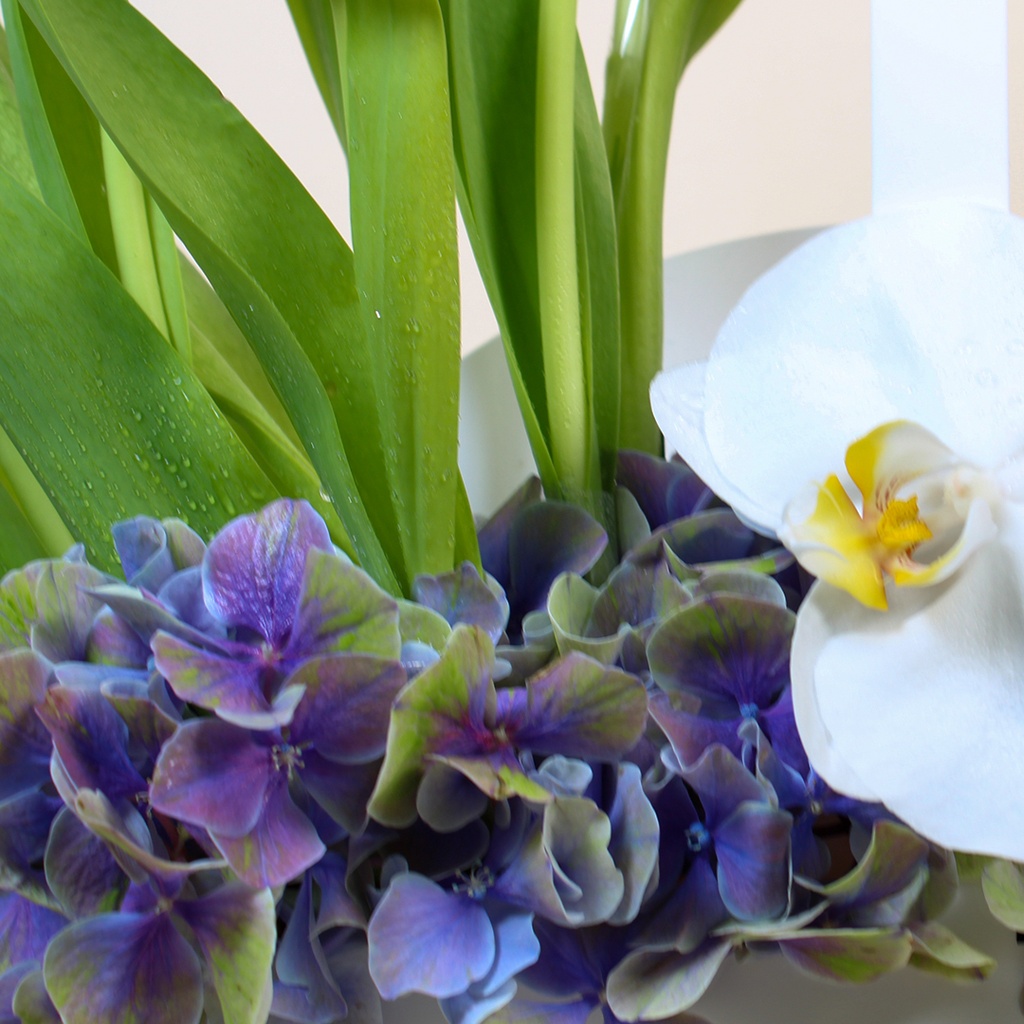 White tulip bouquet