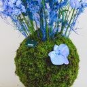 Blue Delphinium Bouquet