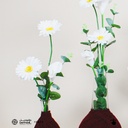 Daffodil Collection | Burgundy vases