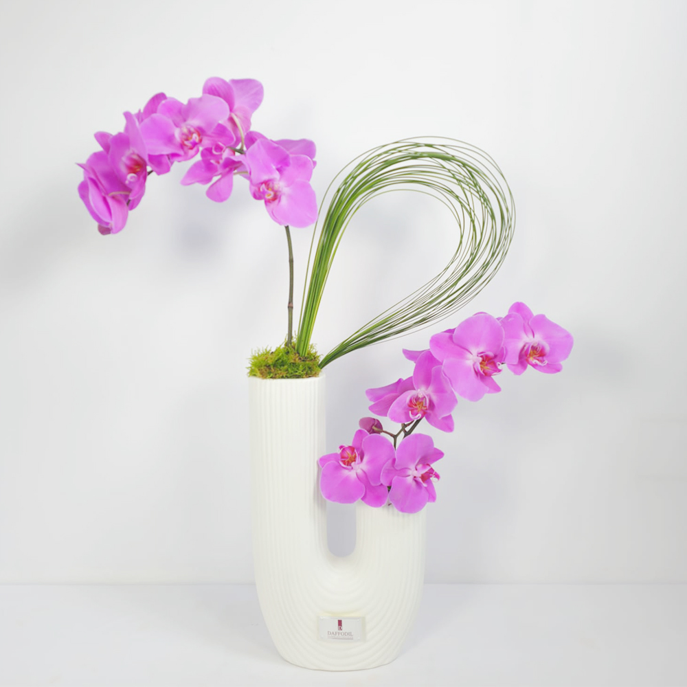 Purple Phalaenopsis vase