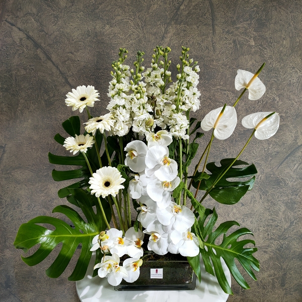 White Bouquet 10