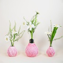 Daffodil Collection | Pink Vases