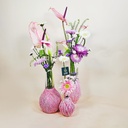 Daffodil Collection Anthurium Vases