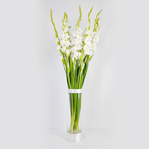 Gladiolus vase