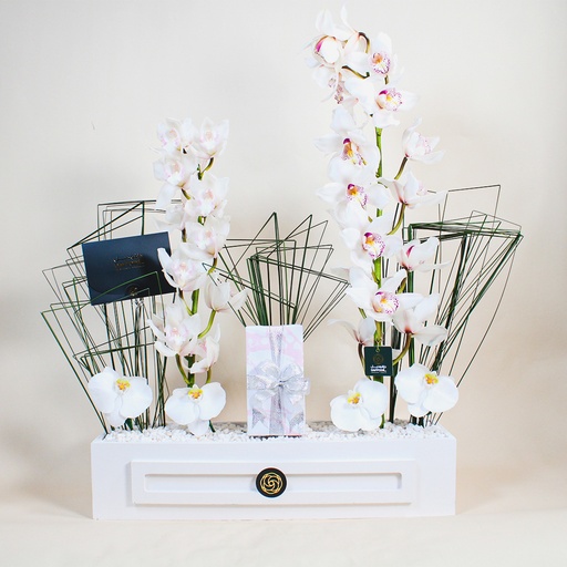 [DFD-BQT-145614] New Phalaenopsis Bouquet